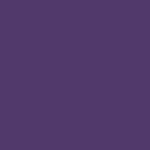 dark violet gloss