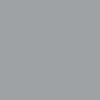 Color External Venetian Streetwise Silver satin Armourspray 9107049Q