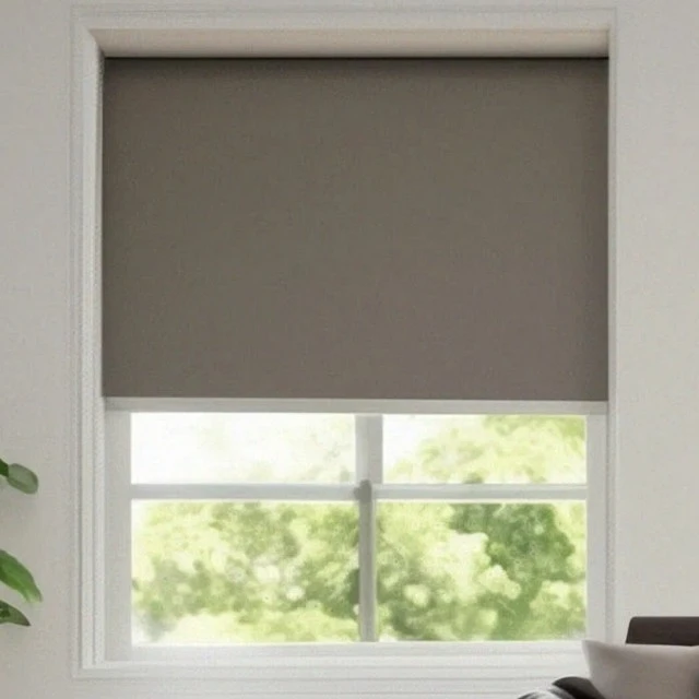 Roller Blind Duo Block