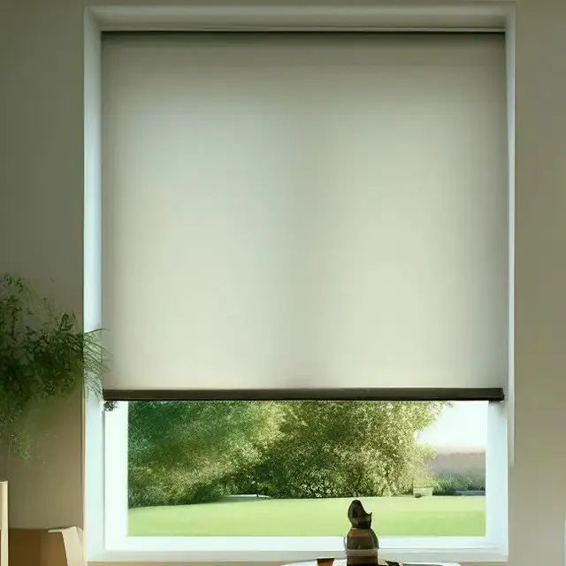 Translucent Roller Blinds