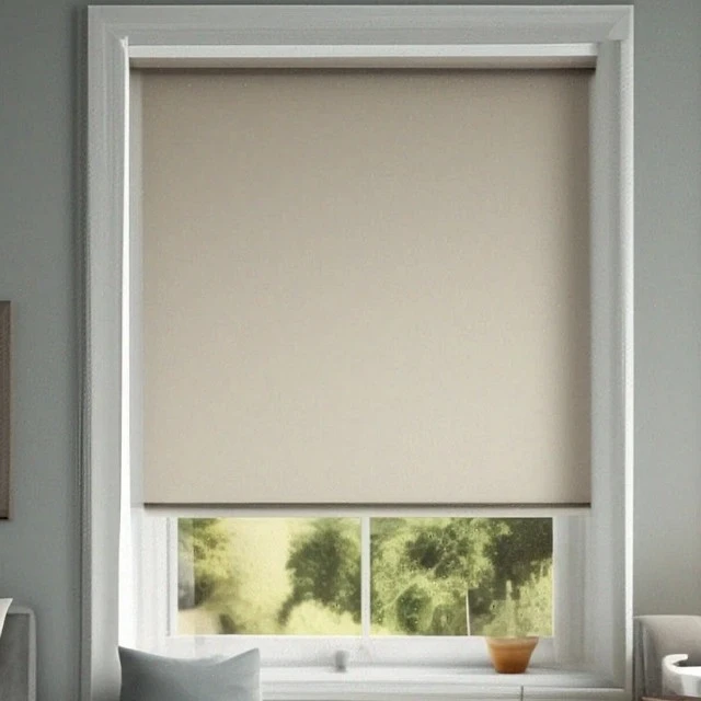 Roller Blind Shades